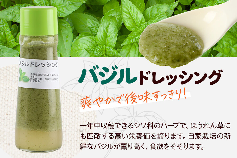 【定期便3回を隔月でお届け】自家製・群馬産野菜で手作りドレッシング バジル ドレッシング 単品 200ml×2本 泙川食品 [どれっしんぐ ドレッシング ばじる バジル]