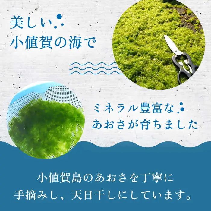 【3回定期便】小値賀でとれたあおさ 12g×2   [DAS014]