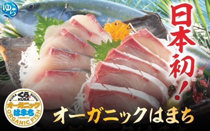 
            【くら寿司】オーガニック はまち 1尾 フィレ（カマなし）約2.1kg～2.4kg  / ハマチ 丸ごと 刺身 数量限定 期間限定 ※2025年12月下旬～2026年4月末まで順次発送【kura003】 
          