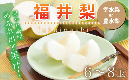 【先行予約】 福井梨 6～8玉 【豊水梨】【2026年9月上旬～9月下旬発送予定】 梨 なし 和梨 豊水 先行予約 ナシ フルーツ 甘い みずみずしい 果実 果物 新鮮 お土産 贈り物 旬の果物  2.4kg以上 [A-1007_09]