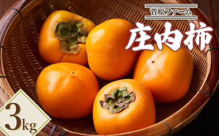【令和7年産先行予約】　庄内柿　約3kg　山形県鶴岡市産　菅原ファーム　