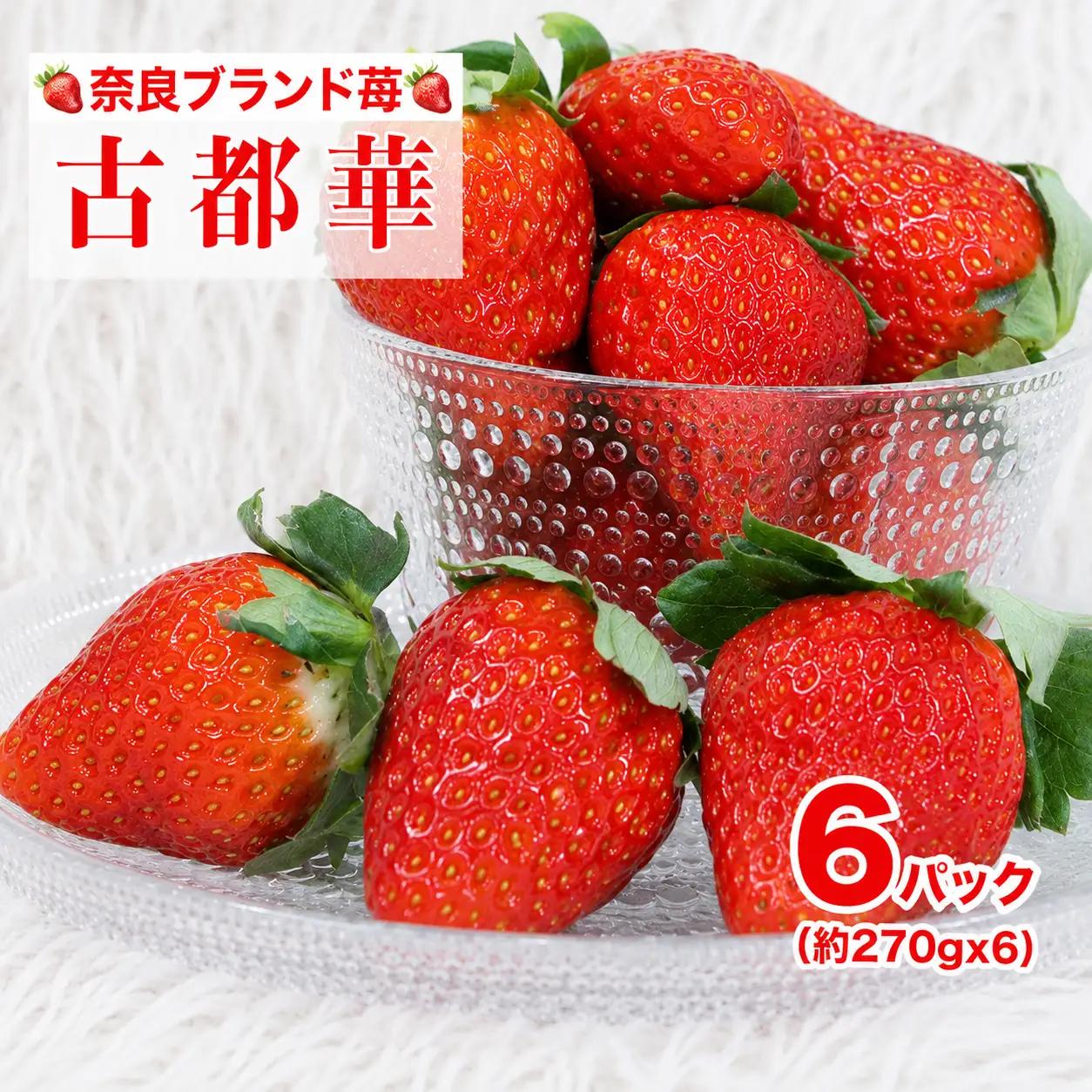 【先行予約】いちご 古都華 250g×6パック ことか 人気 奈良