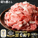 鹿児島県産 黒毛和牛 切り落とし (計600g・300g×2P) すき焼き や 肉じゃが 牛丼 等いろいろな料理に使用できる ふるさと納税 牛肉 切り落とし 和牛 ビーフ ふるさと 人気 ランキング 【宮路ファーム】f-miyaji-1389