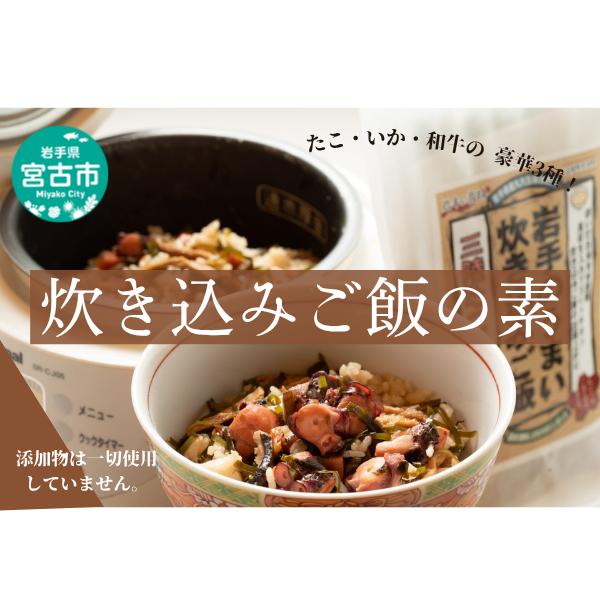 【宮古市】岩手県産使用【無添加】炊き込みご飯の素3点セットB(たこ、いか、和牛 各2合用)