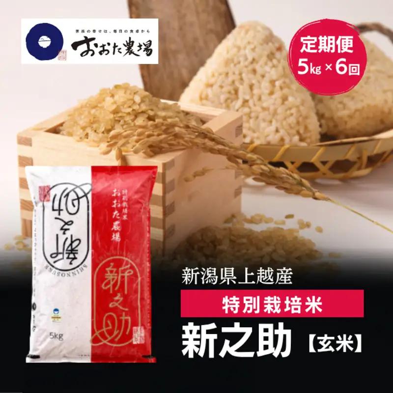 令和8年産 新潟県上越産 特別栽培米 新之助 定期便 5kg×6回 計30kg 【玄米】 従来品種 こしひかり 新米 おおた農場 上越市
