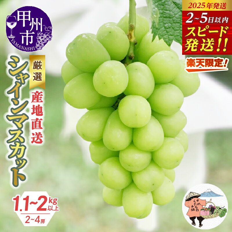 【ふるさと納税】 2025年 楽天限定 1kg 2kg シャインマスカット 8月 9月 10月 2026年 先行予約 選べる 内容量 発送年 1.1kg～2kg以上 2房 ～ 4房 果物 産地直送 期間限定 フルーツ 葡萄 ぶどう 甘い 果実 くだもの 人気 マスカット 厳選 山梨県 甲州市 社員マスカット (KKH)