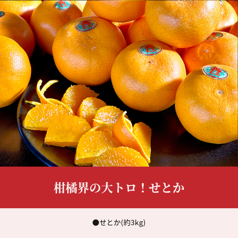 【ふるさと納税】 みかん せとか 柑橘界の大トロ 約3kg [ フルーツ 果物 果実 柑橘 デザート スイーツ 甘い 果汁 常温 食品 国産 香川県 三豊市 お取り寄せ お取り寄せグルメ ギフト プレ