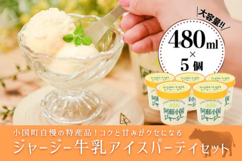 【JA阿蘇】「阿蘇小国ジャージーアイスクリーム」パーティセット2.4L(バニラ480ml×5)