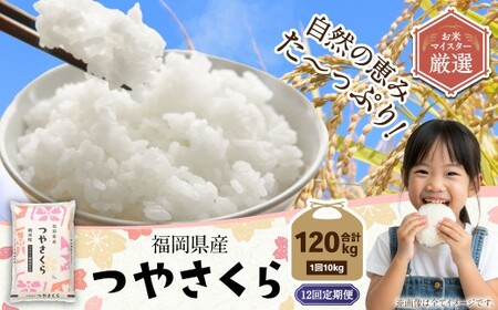 【12ヶ月定期便】福岡県産つやさくら 10kg 岡垣町 ふるさと納税返礼品 お米 こめ 精米 ご飯 ごはん 国産 定期便
