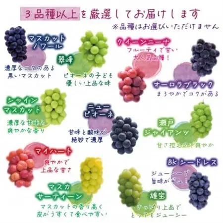 岡山　花笑み農園のブドウ『訳あり3種以上MIX』1kg　W3M-1【配送不可地域：離島・北海道・沖縄県】【1627779】