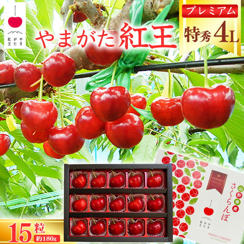 【ふるさと納税】《先行予約》さくらんぼ 「やまがた紅王 プレミアム」4L 特秀品 15粒（約180g）化粧箱 【2026年6月中旬頃〜6月下旬頃発送予定】※配送不可 沖縄・離島 ／ 2026年産 令和8年産 山形県産 フルーツ 果物 果実 くだもの サクランボ 特産 東北 山形 premium