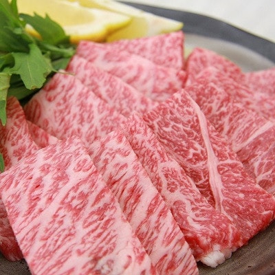 奥出雲和牛肩ロース焼肉用600g(飯南町)【配送不可地域：離島】