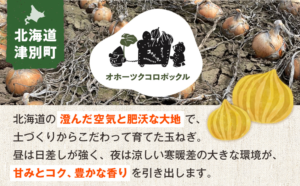 R8年産 玉ねぎ （L玉・M玉混合） 10kg オホーツクコロポックル | 北海道津別町
