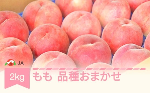 【先行予約】 もも 桃 品種おまかせ 約2kg 令和8年産 2026年産 山形産 果物 ja-moxxx2-b