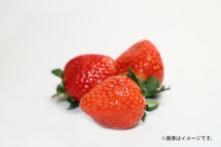 【2024年出荷】さぬき姫いちご（250ｇ×8パック）_M102-0004