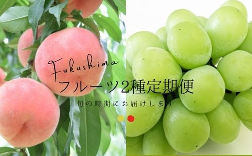 
No.2529フルーツ２種定期便【2025年発送　先行予約】

