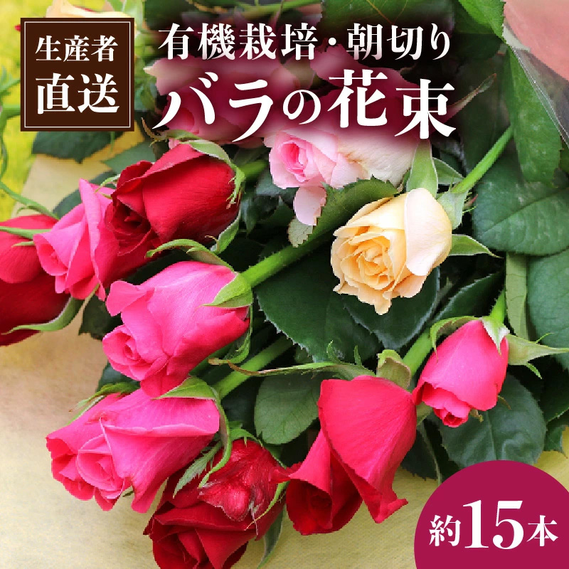 【約15本】生産者直送　有機栽培で育った朝切りバラの花束　【11246-0046】
