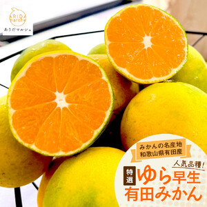 ［先行予約］特選 ゆら早生有田みかん約5kg［2025年10月上旬より発送］［サイズ混合］［MS25］
