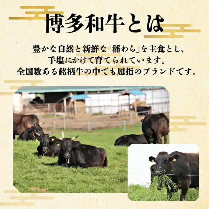 【全2回定期便】博多和牛 肩ロース すき焼き用 1kg 肩ロース [ABCL069]