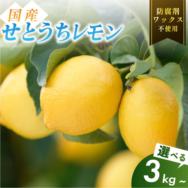 【ふるさと納税】【先行予約】【有機】せとうちレモン 今治産 ワックス不使用 防腐剤不使用 国産 愛媛 瀬戸内レモン 有機レモン オーガニック 生搾り 送料無料 産地直送 減農薬 直送 産直 無添加 選べるキロ数＜3kg／5kg／20kg＞【K002320】