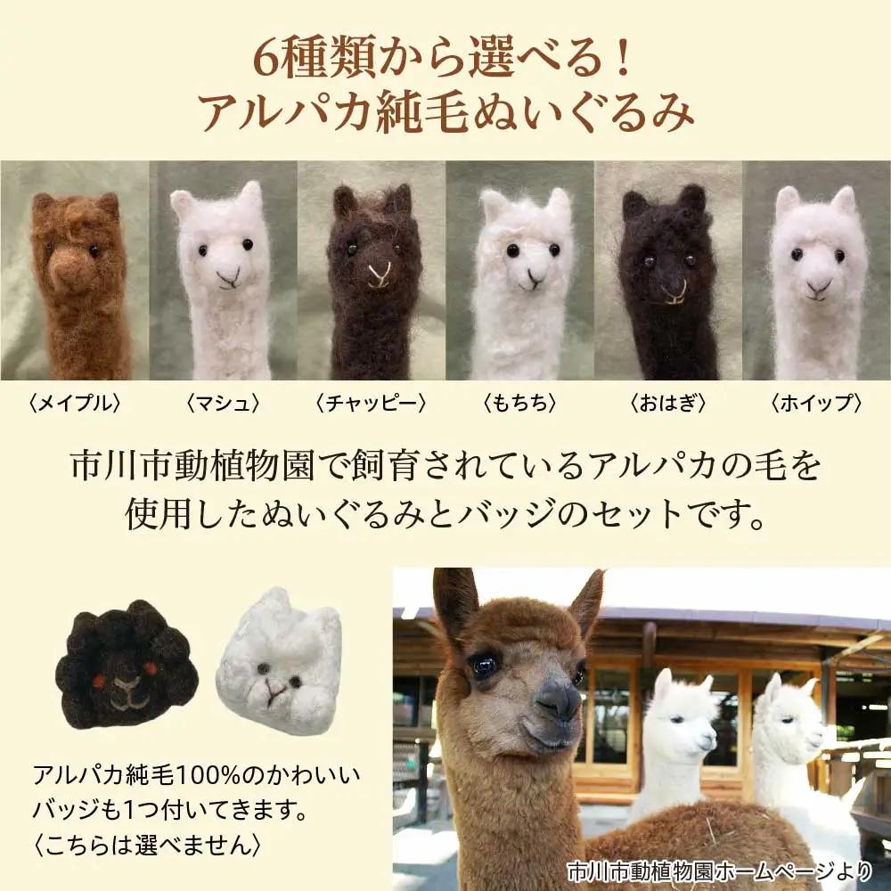 アルパカ純毛ぬいぐるみ・バッジセット　【12203-0265】