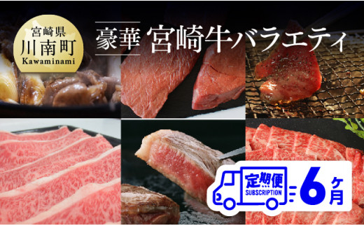 
【定期便】 豪華！ 宮崎牛 バラエティ6ヶ月コース 肉 牛 牛肉 宮崎牛
