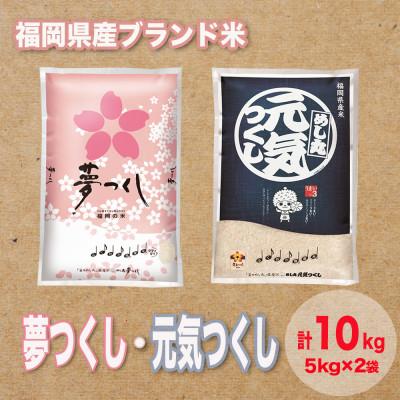 ふるさと納税 大野城市 福岡県産ブランド米セット(合計10kg)