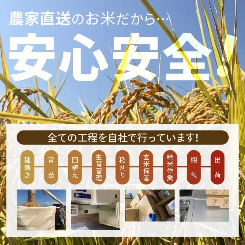 先行予約 定期便 6ヶ月連続お届け コシヒカリ 2kg (1袋) × 6回 計12kg 白米 ブランド米 2026年10月上旬以降順次発送 [B-8949]
