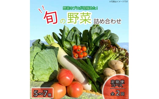 定期便 年2回 新鮮 旬の野菜セット 5～7品目 詰合せ セット 旬 新鮮 季節の野菜 野菜 やさい なすび ブロッコリー キャベツ 白菜 レタス サニーレタス ほうれん草 きゅうり ピーマン とうもろこし トマト ミニトマト 大根 絹さやえんどう インゲン豆 玉ねぎ じゃがいも すだち 産地直送 ギフト プレゼント 贈答 お取り寄せ グルメ 送料無料 阿波市 徳島県 ヨコタコーポレーション