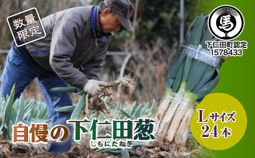 
自慢の下仁田葱（L 24本） とろける 甘い ねぎ ネギ 王様ねぎ 殿様ねぎ 特産 栄養たっぷり ブランド 上州ねぎ すきやき F21K-048
