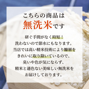 無洗米 定期便 10ヶ月 コシヒカリ 6kg 米 白米 お米 魚沼産コシヒカリ 新潟米 新潟 魚沼市 定期 10回
