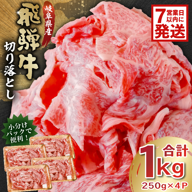 飛騨牛切り落とし（250ｇ×4）【0016-019】_イメージ1