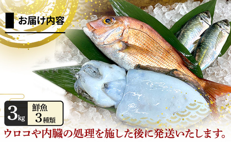 鮮魚セット 3kg 4人前 淡路島産 朝獲れ 鮮魚セット