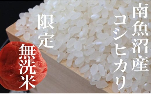 
            【令和7年産】【定期便】《無洗米》南魚沼産コシヒカリ4Kg×全3回【2025年10月上旬より順次発送予定】
          