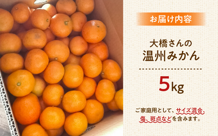 【12月お届け】大橋農園の ご家庭用 温州みかん 5kg みかん 温州みかん ミカン 蜜柑 柑橘 柑橘類 フルーツ 果物 旬 訳あり ワケアリ 訳アリ 愛知県 田原市 渥美半島