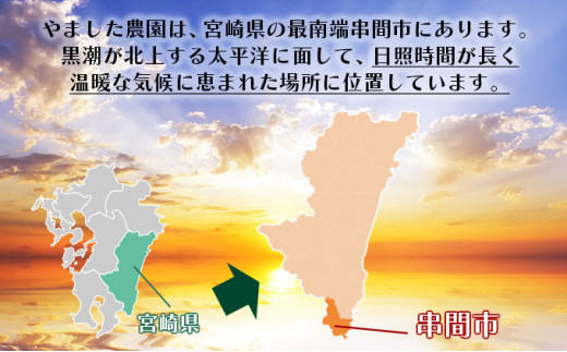 【やました農園】＜先行予約＞糖度15度以上の高評価の宮崎完熟マンゴー（3L×2玉入・贈答用）＜ギフト用＞ 4箱 AE-CD3-4
