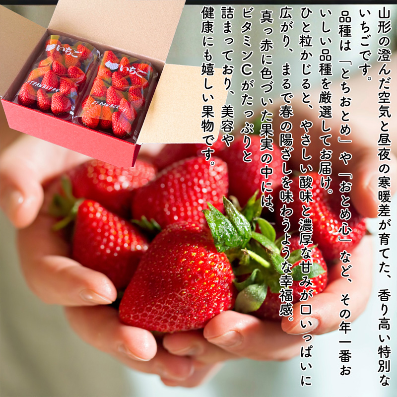 【定期便5回】やまがた果実日和定期便 今日も