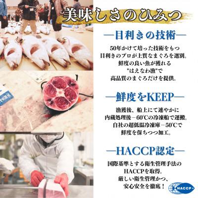 ふるさと納税 三浦市 三崎まぐろ　赤身切り落とし　合計1kgセット |  | 03
