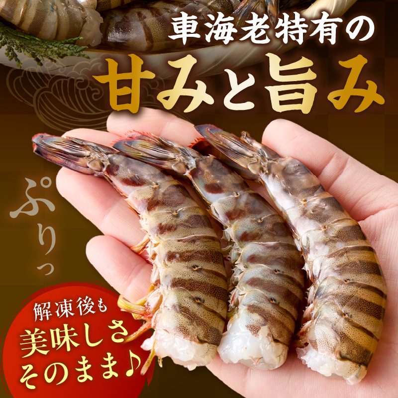 伊万里産 無頭 冷凍車海老（加熱用、250gx2pc） 010-C195