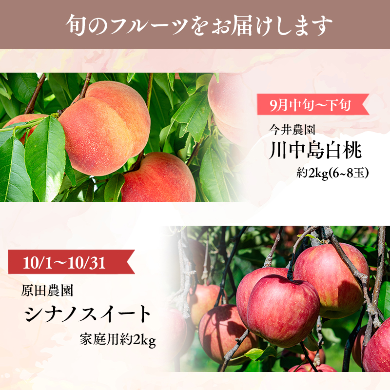 青森フルーツ満喫便　家庭用 桃＆りんご 2回定期コース【hi-0999-009】