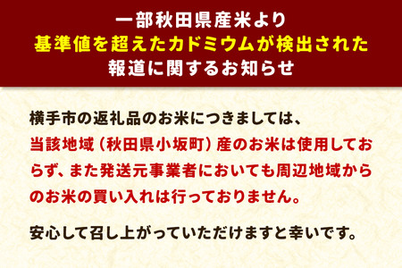 《令和7年産 新米受付》《定期便6ヶ月》あきたこまち 備蓄米 20kg（2.5kg×8袋）【無洗米】秋田県産 こまちライン
