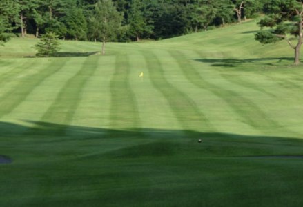 660P8401 【大館カントリークラブ】ゴルフプレー券1組4名様分 【配送日指定不可】