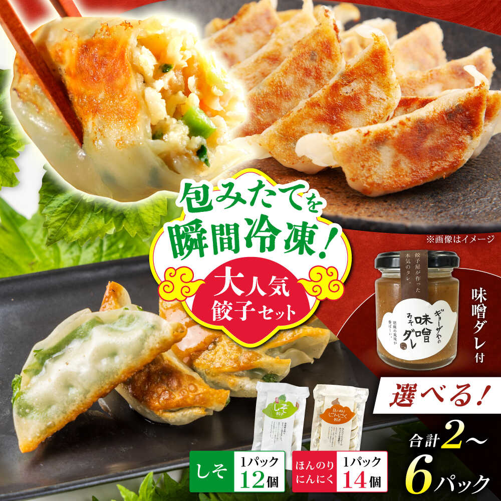 【ふるさと納税】【お中元対象】【選べるパック数！】餃子屋ヒロの大人気餃子セット＋特製味噌ダレ付【餃子屋ヒロ】開成町 餃子 点心 惣菜 冷凍[BDAS009]