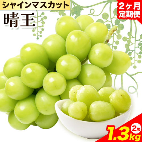 【2026年先行予約】シャインマスカット 晴王 岡山県産 定期便 2ヶ月 9月・10月発送《2026年9月中旬-10月末頃出荷(土日祝除く)》2房 1.3kg 晴レ乃青果　(岡山中央卸売市場店(富士紙工 有限会社)) 岡山県 浅口市 【配送不可地域あり】