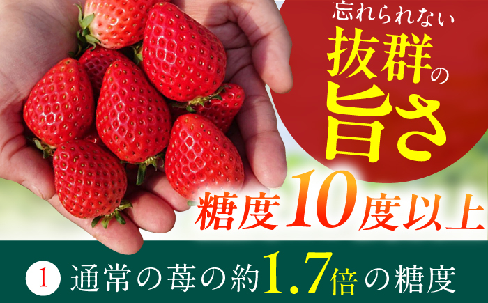 いちご イチゴ 苺 果物 フルーツ