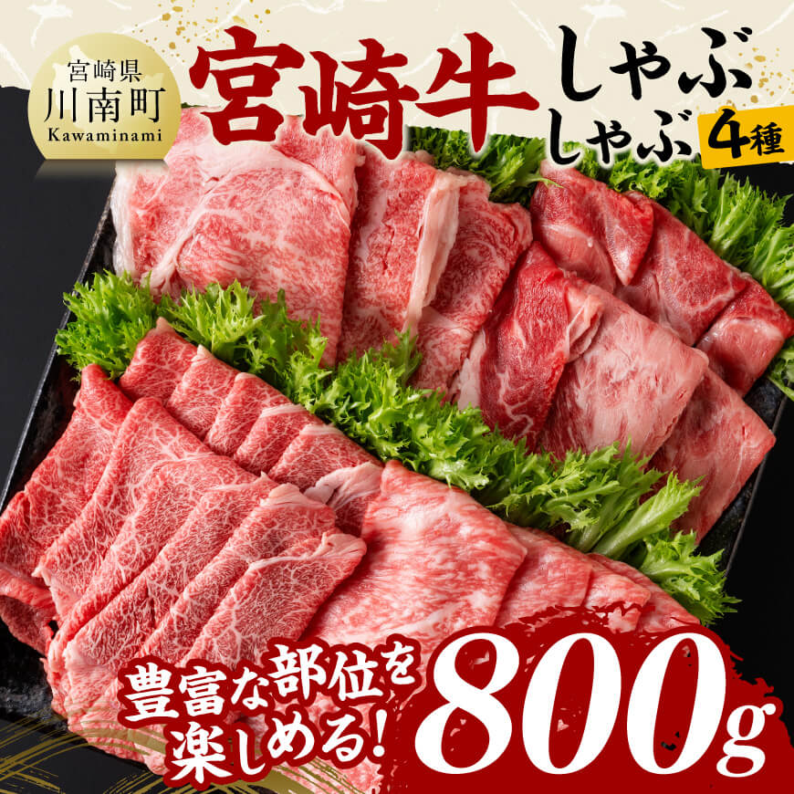 宮崎牛カルビ焼肉・切り落としセット合計800ｇ【 黒毛和牛 宮崎牛 焼肉 しゃぶしゃぶ すき焼き 焼きしゃぶ 】[D11405]