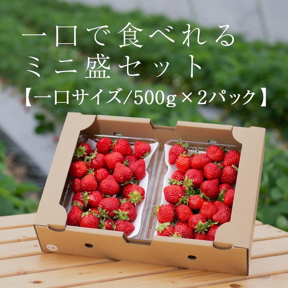 【2026年1月～4月出荷分予約販売】★たっぷり1000g！★ミニサイズの「完熟あまおう」セット