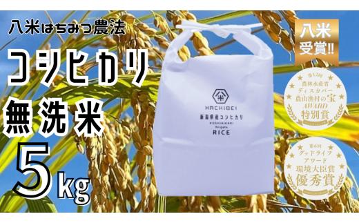 【令和7年産】【環境大臣賞受賞】【特別賞受賞】無洗米 コシヒカリ 5kg 農家直送 ほんのり甘い「はちみつ農法」 白米 精米 HACHIBEI 八米 1L07014