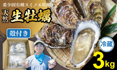 【2月配送】【先行予約】※指定日必須※ 天然 有明海産 住之江牡蠣 殻付き 冷蔵牡蠣 3㎏ B160-024-02 ハクエイ水産