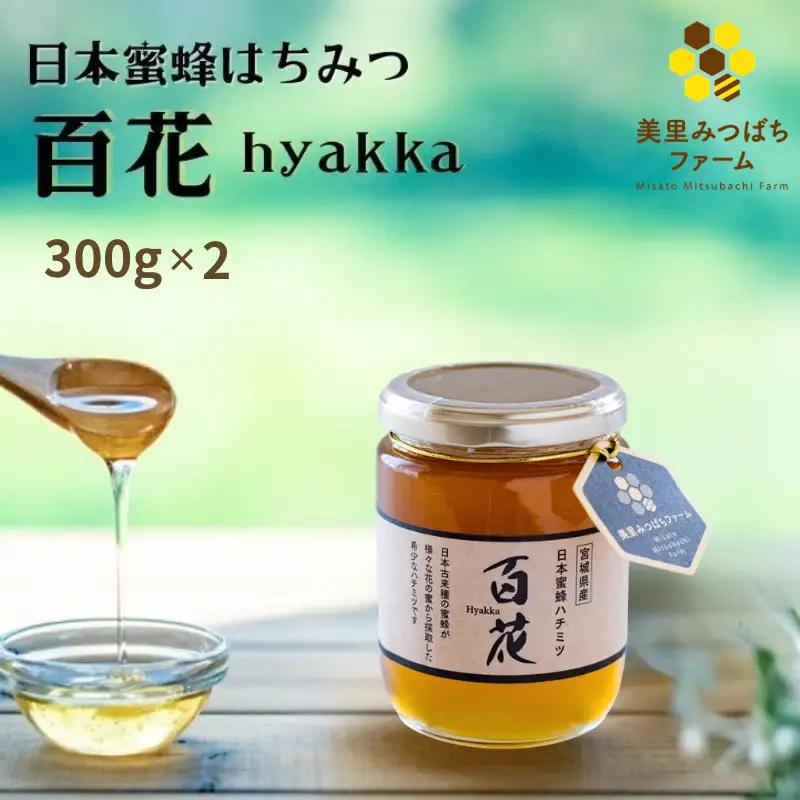 日本蜜蜂のハチミツ（300g×2）瓶入り / はちみつ みつばち 天然 日本蜂蜜 蜂蜜【mmfm004】